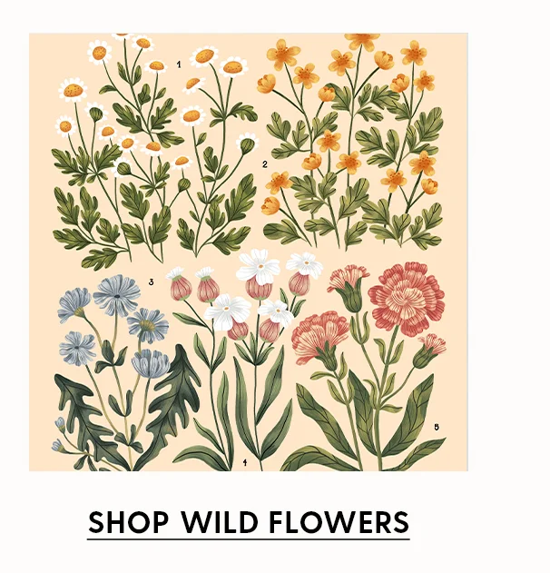 Shop Wild Flowers