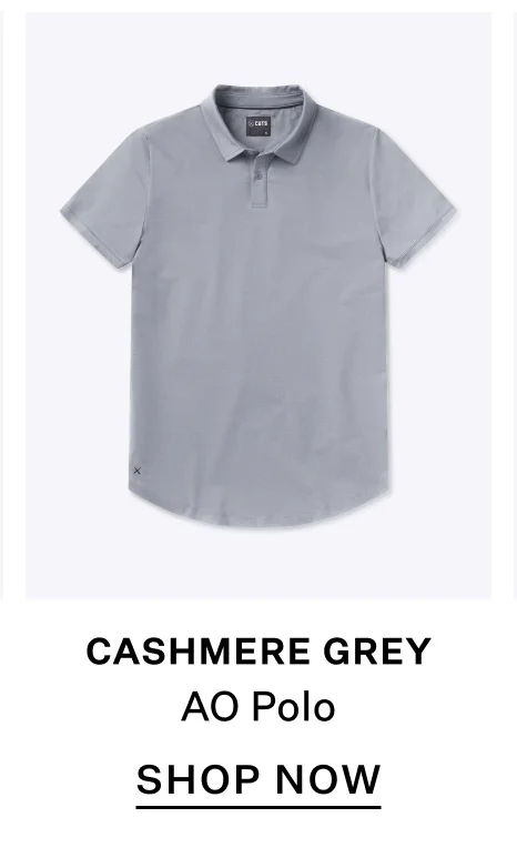AO Polo