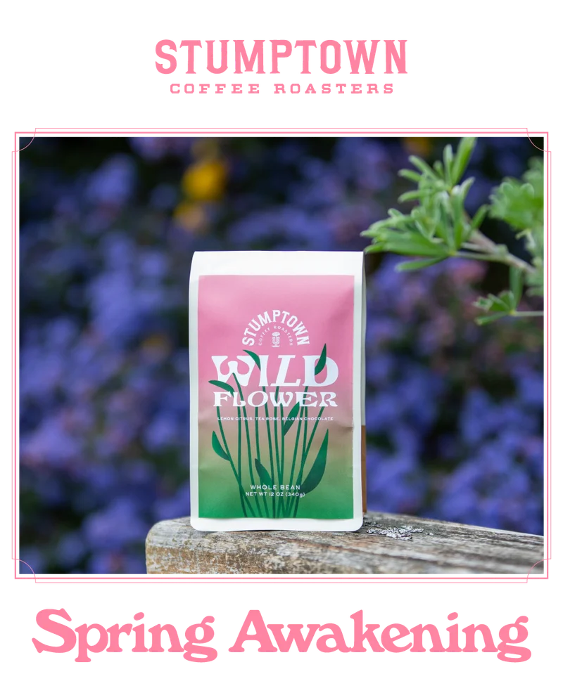 Stumptown Wildflower spring limited release coffee bag on a wooden surface outdoors, with a pink-to-green floral label against a blurred field of purple flowers. Text reads: “Spring Awakening.”