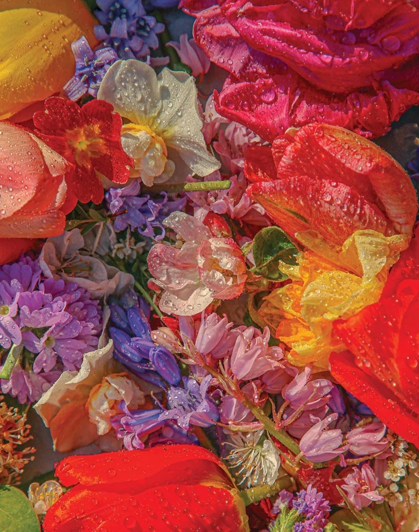 Pure. Floral. Magic. Yes, this puzzle really is that good. Shop Blossom