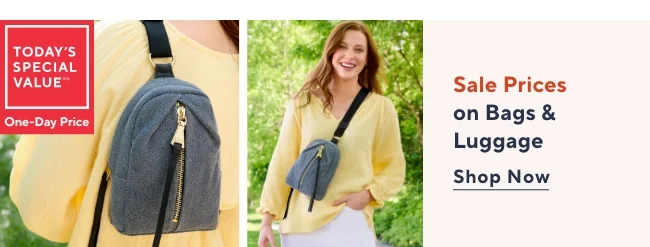 Handbag Sale