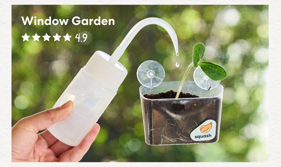 Window Garden