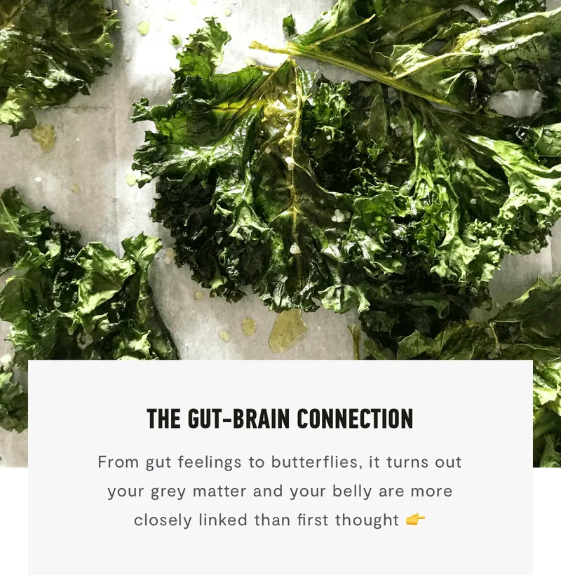 The Gut-Brain Connection