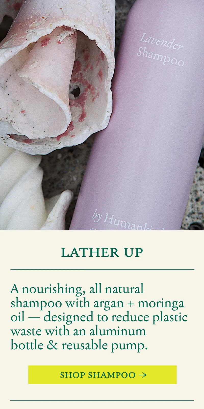 Shampoo