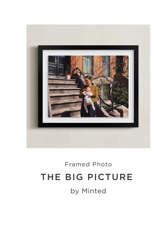 The Big Picture