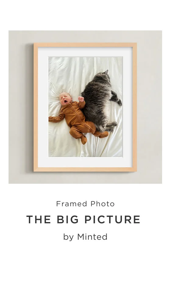 The Big Picture