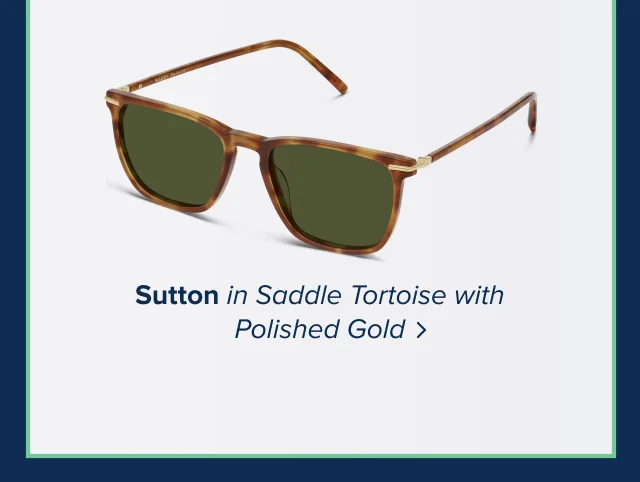 Sutton in Saddle Tortoise with Polished Gold