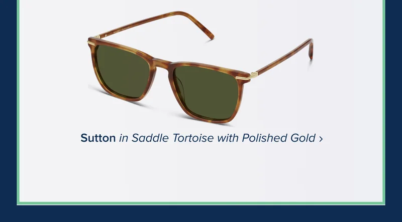 Sutton in Saddle Tortoise with Polished Gold