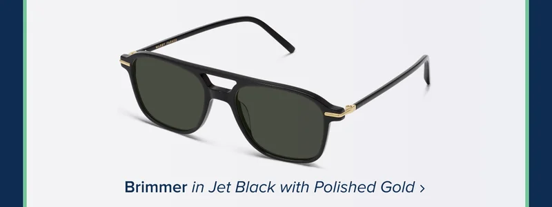 Brimmer Sunglasses in Jet Black wit polished gold