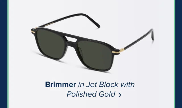 Brimmer Sunglasses in Jet Black wit polished gold