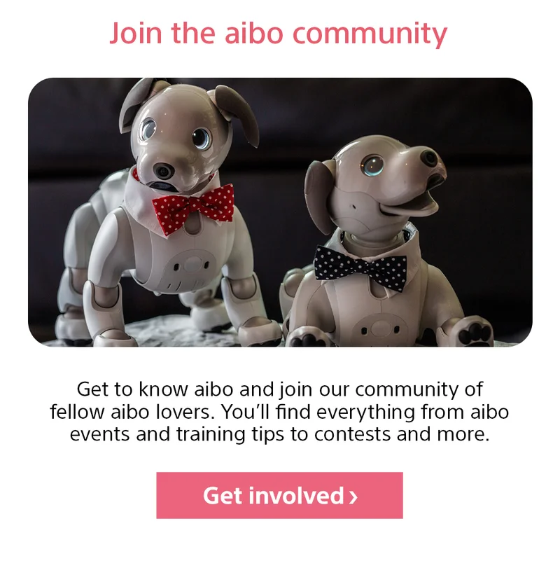 Join the aibo community Get to know aibo and join our community of fellow aibo lovers. You’ll find everything from aibo events and training tips to contests and more. Get involved