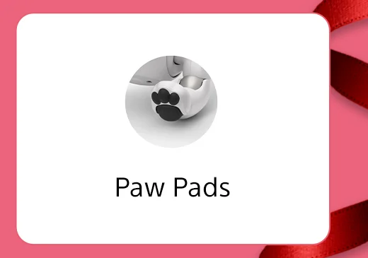 Paw Pads