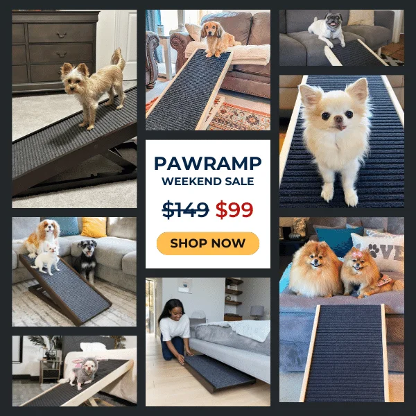 PawRamp Sale