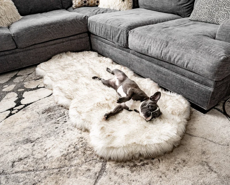 Image of PupRug™ Runner Faux Fur Memory Foam Dog Bed