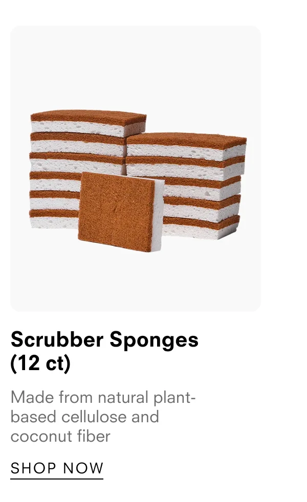 Scrubber Sponges (12 ct)