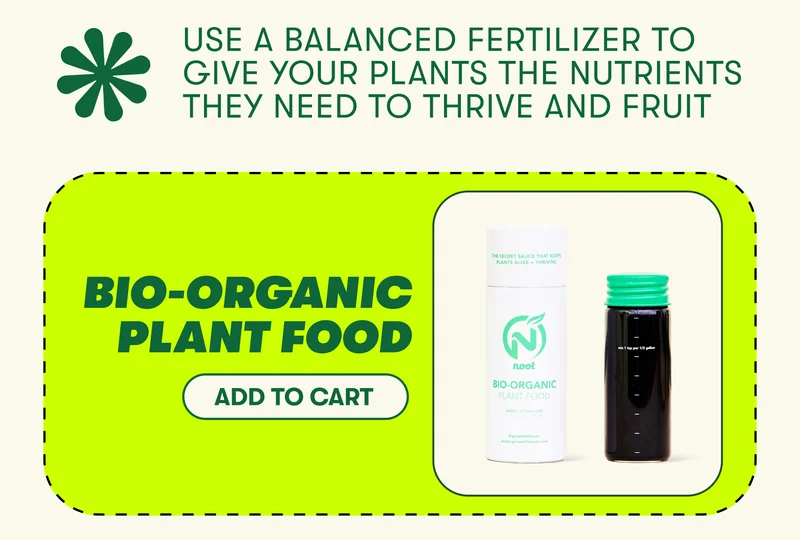 USE A BALANCED FERTILIZER TO GIVE YOUR PLANTS THE NUTRIENTS THEY NEED TO THRIVE AND FRUIT THE SECRET SAUCE THAT KEEPS PLANTS ALIVE + THRIVING BIO-ORGANIC PLANT FOOD [ADD TO CART]