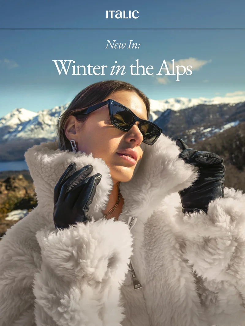Winter in the Alps