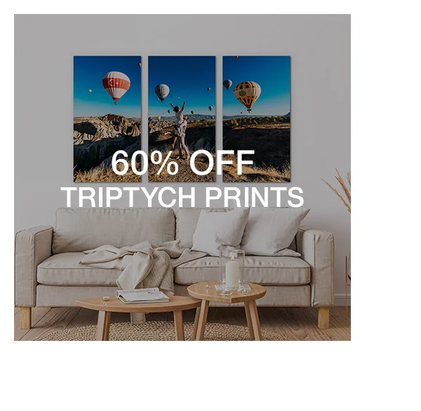 60% off Triptych Prints