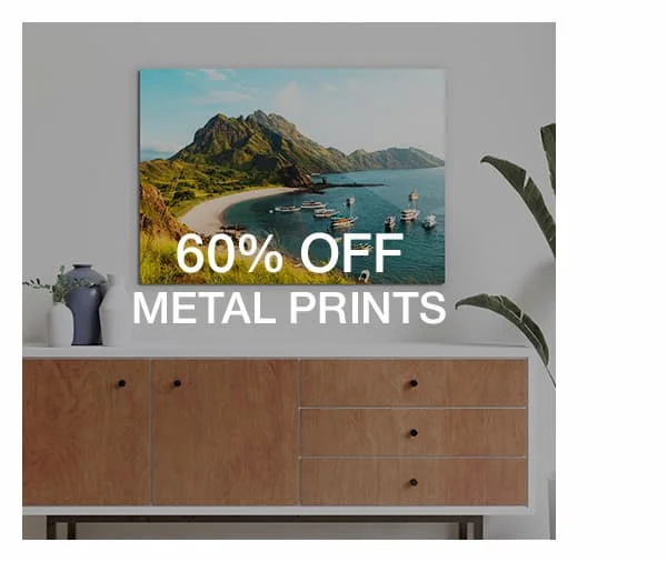 60% off Metal Prints