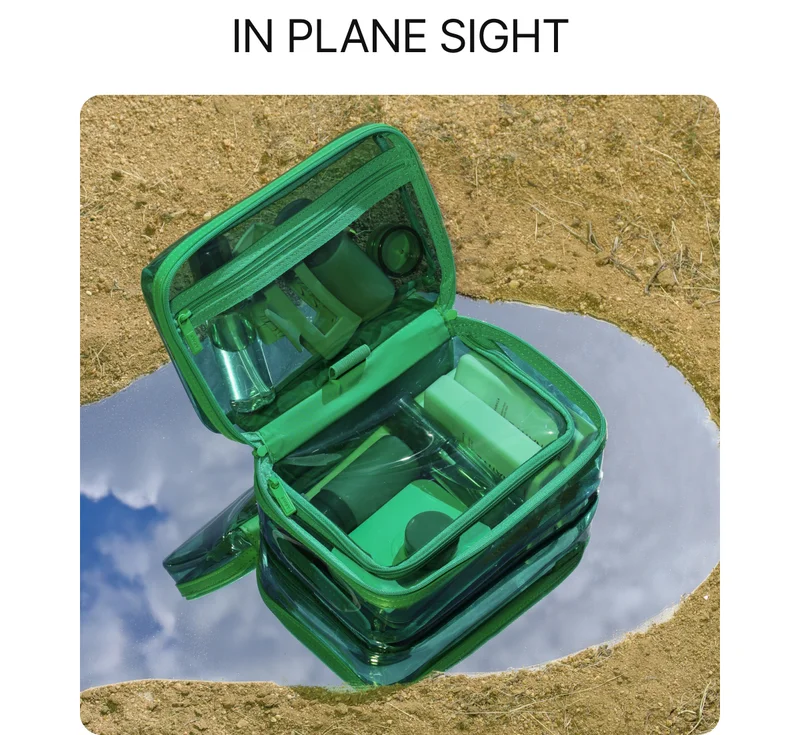 IN PLANE SIGHT