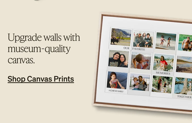 Don't miss out on free shipping + up to 40% off almost everything