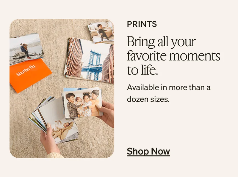 Don't miss out on free shipping + up to 40% off almost everything