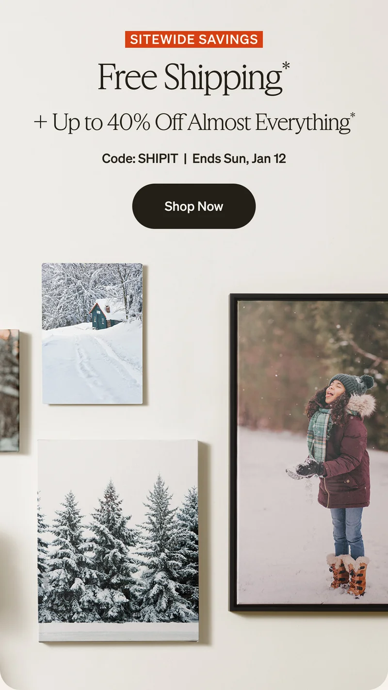 Don't miss out on free shipping + up to 40% off almost everything