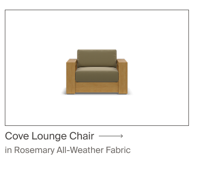 Cove Lounge Chair