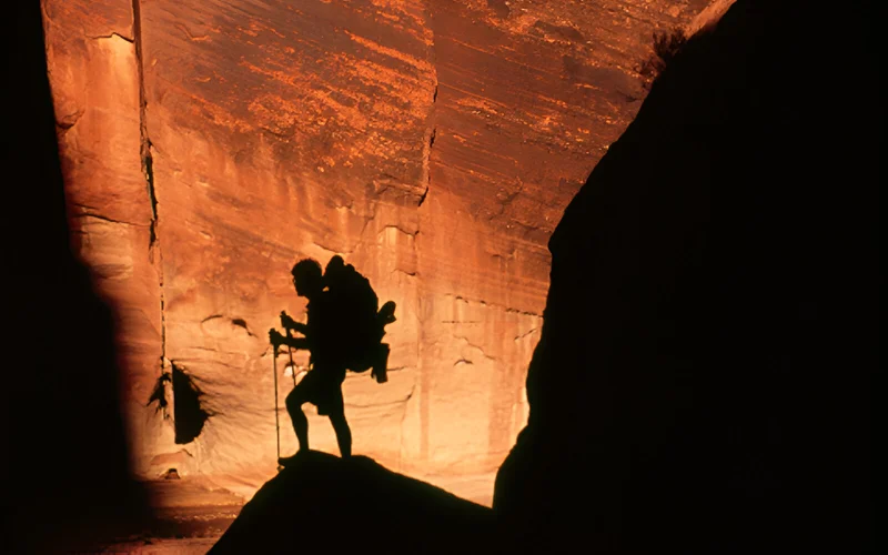 When hiking on challenging terrain, the average person can burn around 400-550 calories per hour, says one expert.