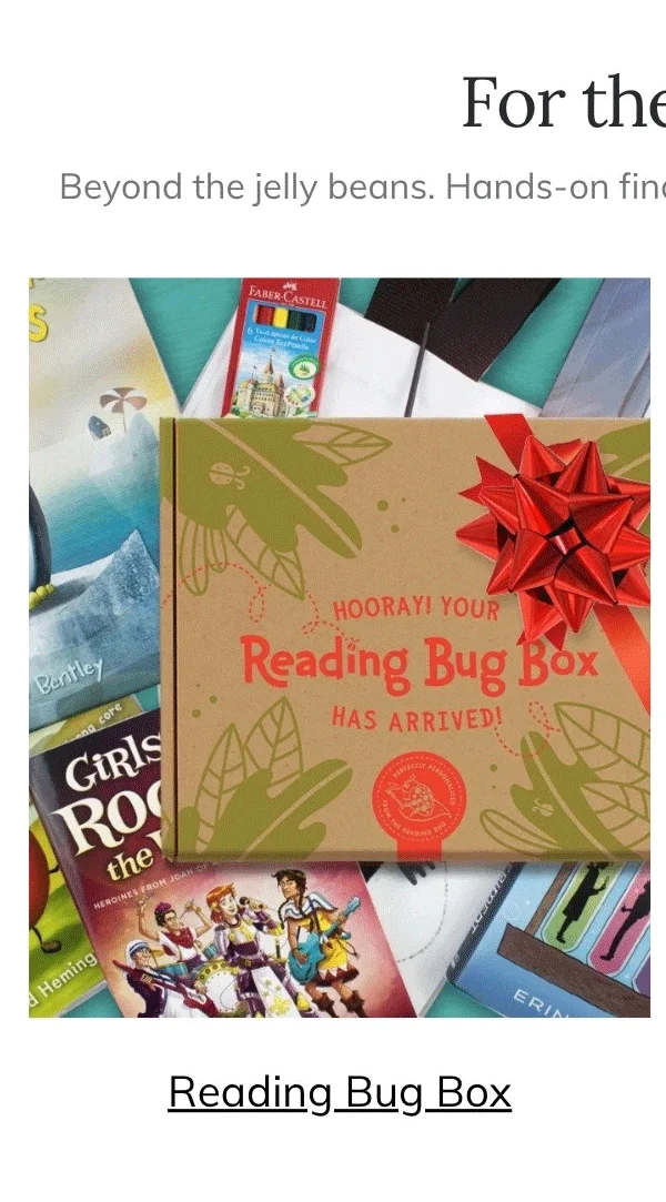 Reading Bug Box Children's Books