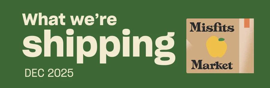 What we're shipping in December