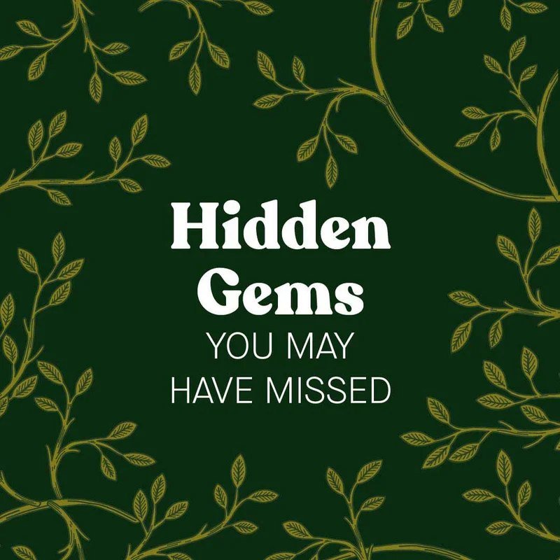 Hidden Gems You May Have Missed