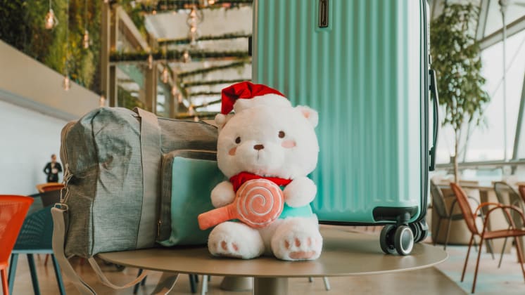 Changi Candy premiums - Teddy Bear, Travel Bag & Luggage