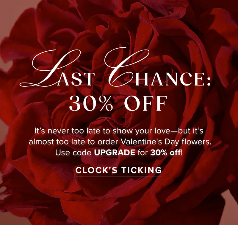 Last Chance: 30% Off. It's never too late to show your love -- but it's almost too late to order Valentine's Day flowers. Use code UPGRADE for 30% off! CLOCK'S TICKING