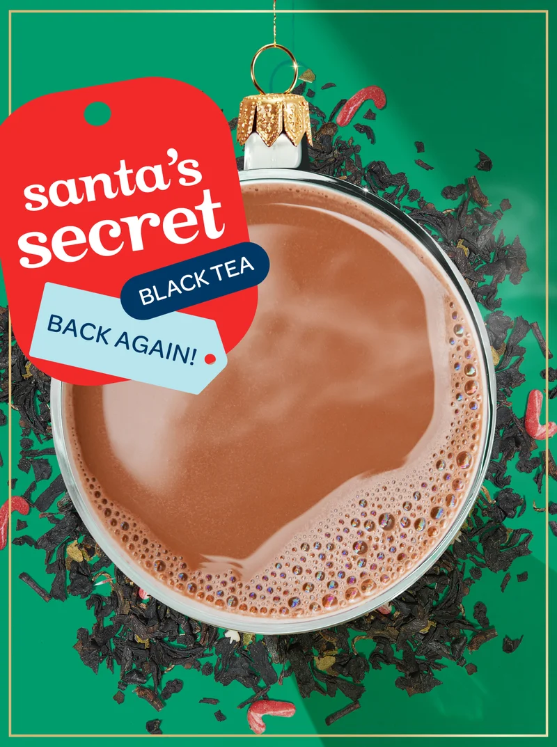 Santa's secret - Back again!