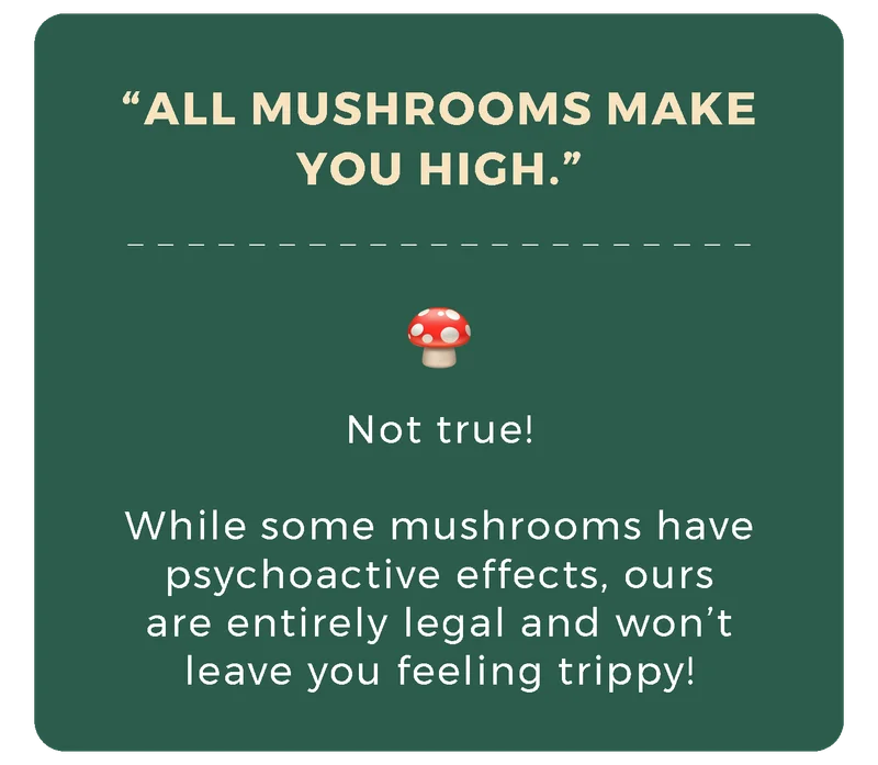 "All mushrooms make you high."