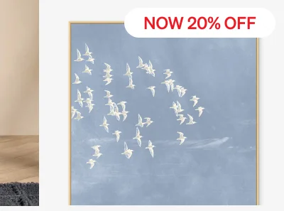 Shop Blue Day Flight 2 Print