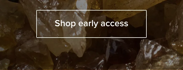 Shop early access