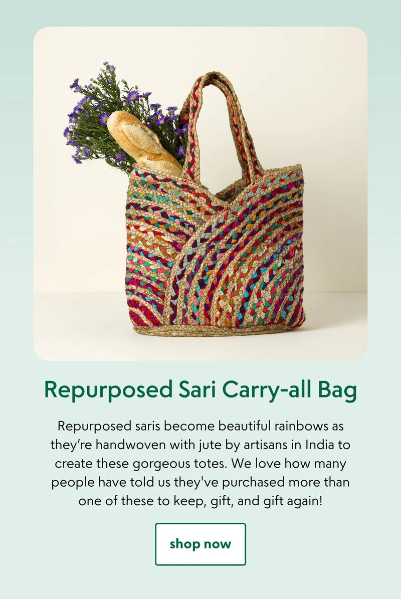 Repurposed Sari Carry-all Bag