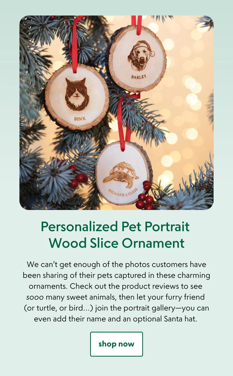 Personalized Pet Portrait Wood Slice Ornament