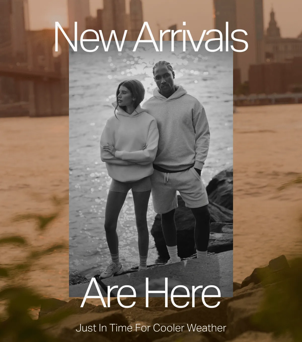 New Arrivals