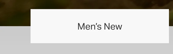 Men's New