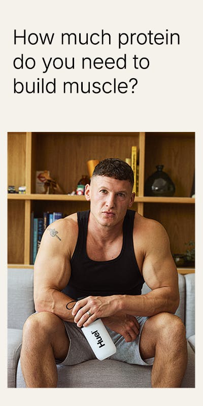 The role of protein in muscle growth