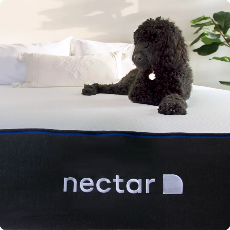 Nectar Mattress