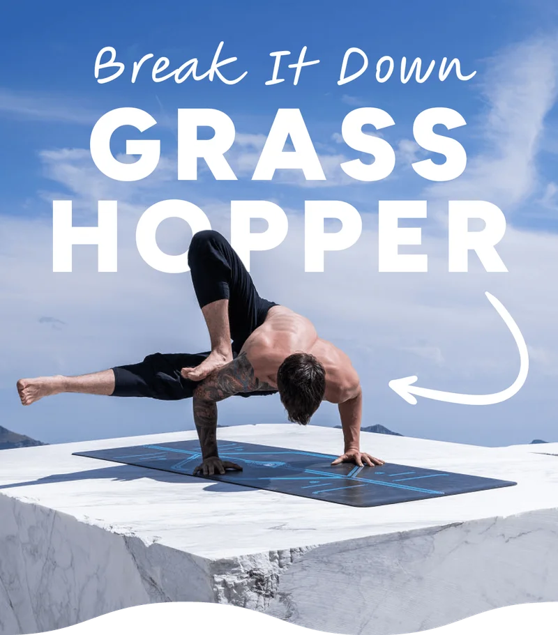 Break It Down Grass Hopper