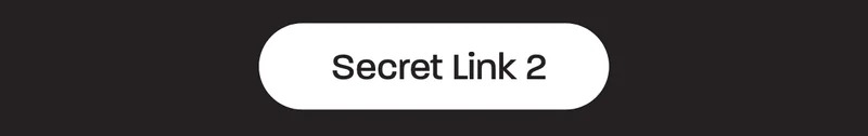 Secret Link 2