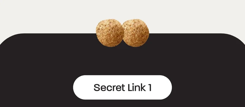 Secret Link 1