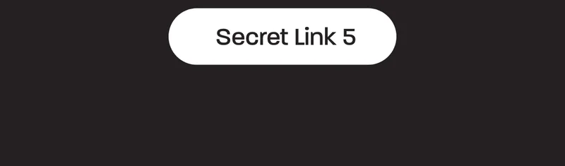 Secret Link 5