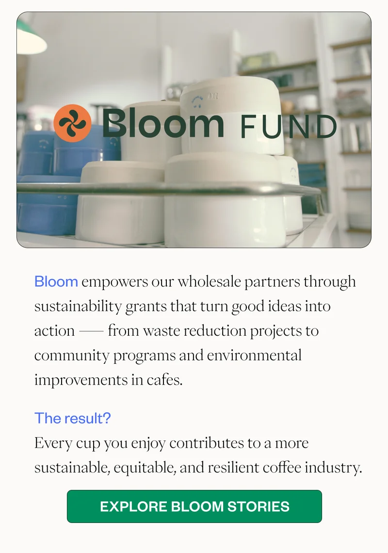 Bloom empowers our wholesale partners through sustainability grants that turn good ideas into action — from waste reduction projects to community programs and environmental improvements in cafes. The result? Every cup you enjoy contributes to a more sustainable, equitable, and resilient coffee industry. CTA: Explore Bloom Stories