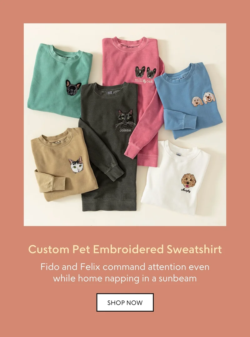 shop now
